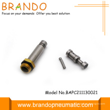 Cng Lpg Rail Injector Solenoid Valve Tube Armature